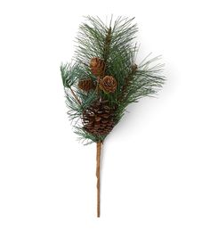 pine cones and needles are arranged on a stick