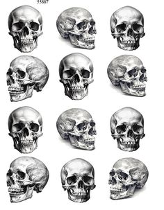 a bunch of skulls are shown in black and white, each with different facial expressions