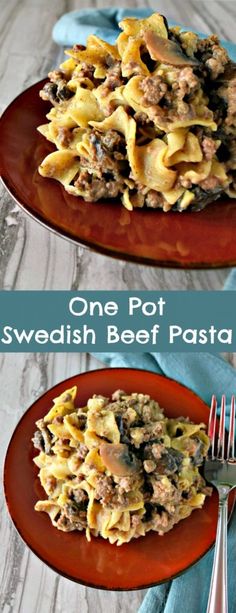 one pot swedish beef pasta on a red plate