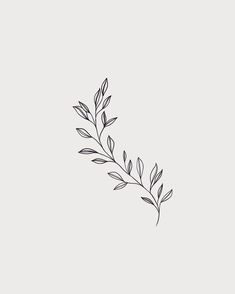 Henne Tattoo, Arte Doodle, Plant Tattoo, Inspiration Tattoos, Simplistic Tattoos, Little Tattoos