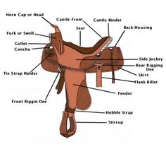 the parts of a horse saddle