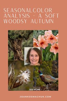 the cover of seasonal color analyses - a soft woodsy autumn by joann kosmock