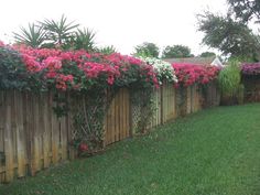 the fence is covered with pink flowers and greenery