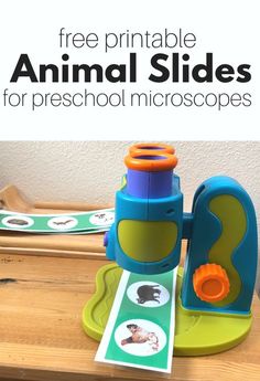 the free printable animal slides for preschool microscopes are perfect for learning about animals