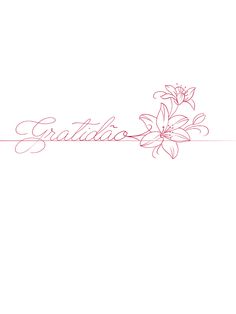 the word gratillo written in cursive writing on a white background with pink flowers