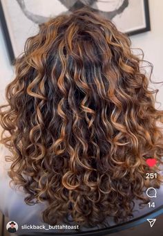 Natural Curly Hair Cuts, Brown Curly Hair, Blonde Curly Hair, Dark Hair With Highlights