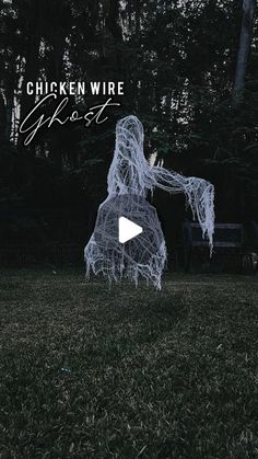 an image of a ghost in the grass with text that reads chicken wire ghost on it