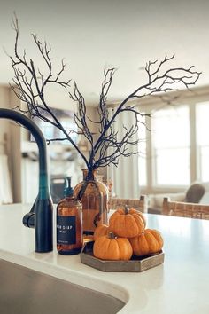 a kitchen counter topped with lots of bottles and pumpkins next to a tree branch