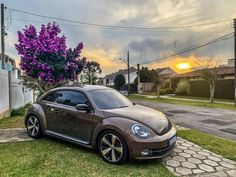 a brown car parked on the side of a road next to a purple flower bush