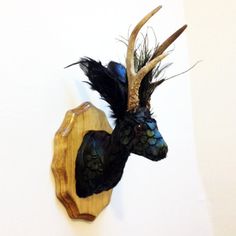 a deer head mounted to the wall with feathers on it