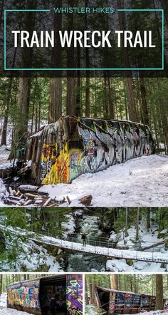 the train wreck is covered in graffiti and surrounded by trees