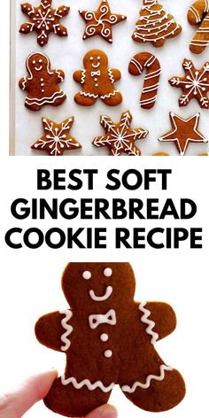 the best soft gingerbread cookie recipe