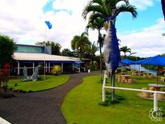 a large blue fish statue sitting on top of a lush green field