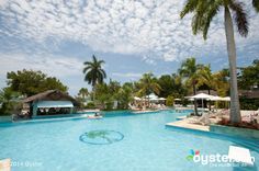 an empty swimming pool surrounded by palm trees