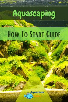 an aquascaping book with the title how to start guide