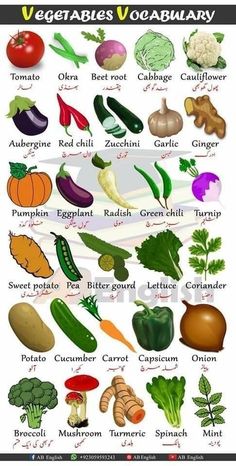 an image of vegetables and their names