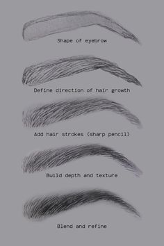 the different types of eyebrows are shown