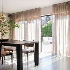 a dining room table with chairs and a potted plant