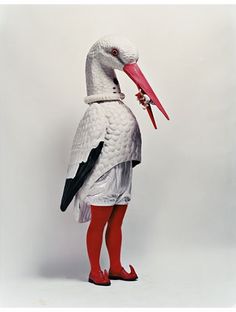 a white bird with a red beak and long legs standing in front of a white background