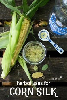 Herb Uses, Corn Silk, Herbal Recipes, Herbal Apothecary, Natural Healing Remedies, Herbal Healing, Diy Remedies, Herbs For Health, Natural Therapy