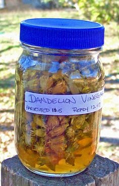 a jar filled with dried flowers sitting on top of a wooden post next to a tree stump