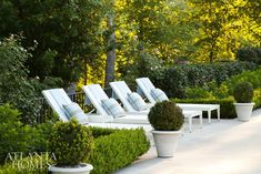 some white lawn chairs sitting next to each other near bushes and trees in the sun