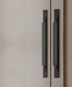 an image of two doors with handles on them