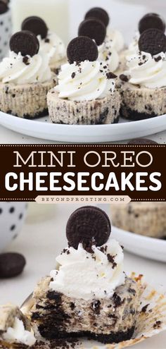 Looking for more Mother's Day dessert ideas? Learn how to make Mini Oreo Cheesecakes! They're so easy. From the crust to the filling to the topping, these cheesecake bites are loaded with Oreo cookies! Save this Mother's Day baking recipe! Quick Oreo Cheesecake, Individual Oreo Cheesecake Cups, Easy Individual Cheesecakes, Mothers Day Sweets Ideas, Mini Oreo Desserts, Mini Nobake Cheesecake, Mini Cheesecake Oreo, Mini Cheesecake Recipes Oreo, Desserts To Take To Work