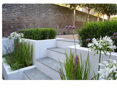 some plants and flowers are growing in white planters on concrete steps near a brick wall