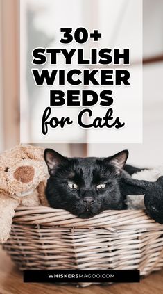 a black cat laying in a basket with the words 30 stylish wicker beds for cats