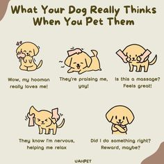 a cartoon dog with four different expressions on it's face and the caption says, what your dog really thinks when you pet them