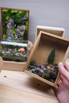 a person holding a miniature box with trees and rocks in it on top of a wooden table