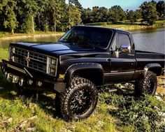 a black truck parked next to a lake in the grass with trees and bushes behind it