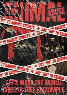 there is a poster with cats on it that says stop animal cruelly say not to animals