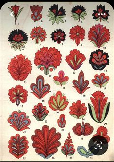 an old book with different types of flowers and leaves on it's pages, including red