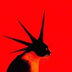 a black and white cat with spikes on it's head against a red background