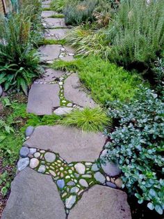 a stone path in the middle of a garden