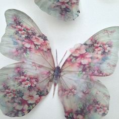 three butterflies with different designs on them sitting next to each other in front of a white background