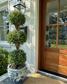 a potted plant sitting in front of a door on the side of a house