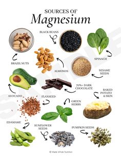 HTMA 101 (handout bundle) — Functional Health Research + Resources — Made Whole Nutrition Sources Of Magnesium, بذور الشيا, Motivasi Diet, Different Foods, Herbs For Health