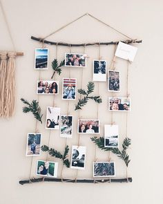 a wall hanging with pictures and pine branches attached to the strings, which are hung on a rope