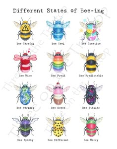 different types of bee - ings are shown in this drawing, with the names below them