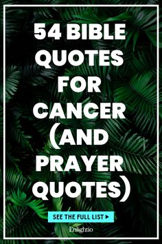 54 Bible Quotes for Cancer (and Prayer Quotes) Profound Quotes, Inspirational Bible Quotes, Prayer Quotes, Powerful Quotes, Bible Inspiration, Design Quotes, Spiritual Growth, Gods Love, Bible Quotes