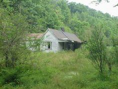 an old run down house in the middle of some trees and bushes with a rusted roof