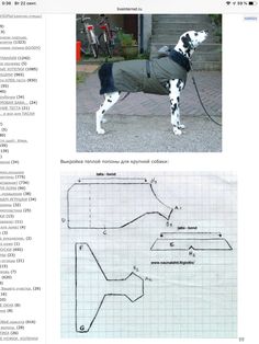 an image of a dog wearing a coat on the page with instructions to make it