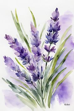 watercolor painting of lavender flowers on white paper with green stems in the foreground