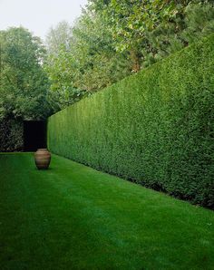 a large green hedge next to a tall wooden vase