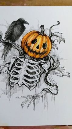 a drawing of a skeleton with a pumpkin and a crow sitting on top of it