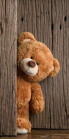 a brown teddy bear is peeking out from behind a wooden paneled wall and leaning on it's side