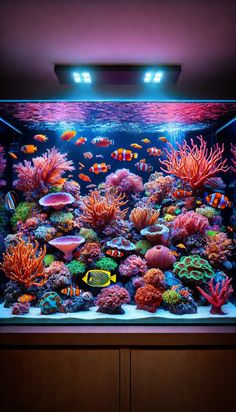 an aquarium filled with lots of different types of corals and fish in the water